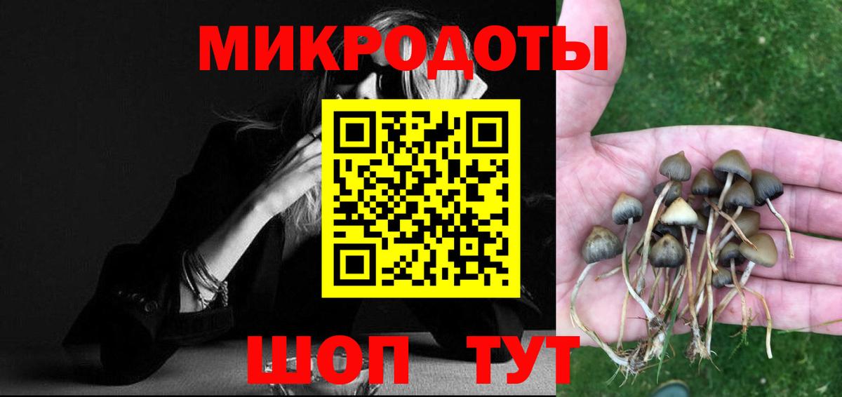 Псилоцибиновые грибы Cubensis  Псилоцибиновые грибы Psilocybine cubensis  Тула  Вход с VPN 