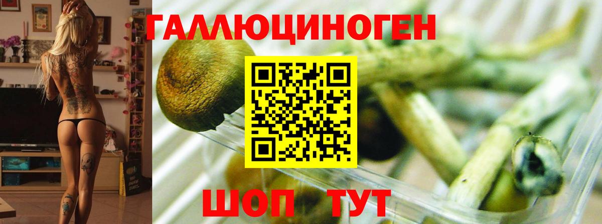 Галлюциногенные грибы мухоморы Тула
